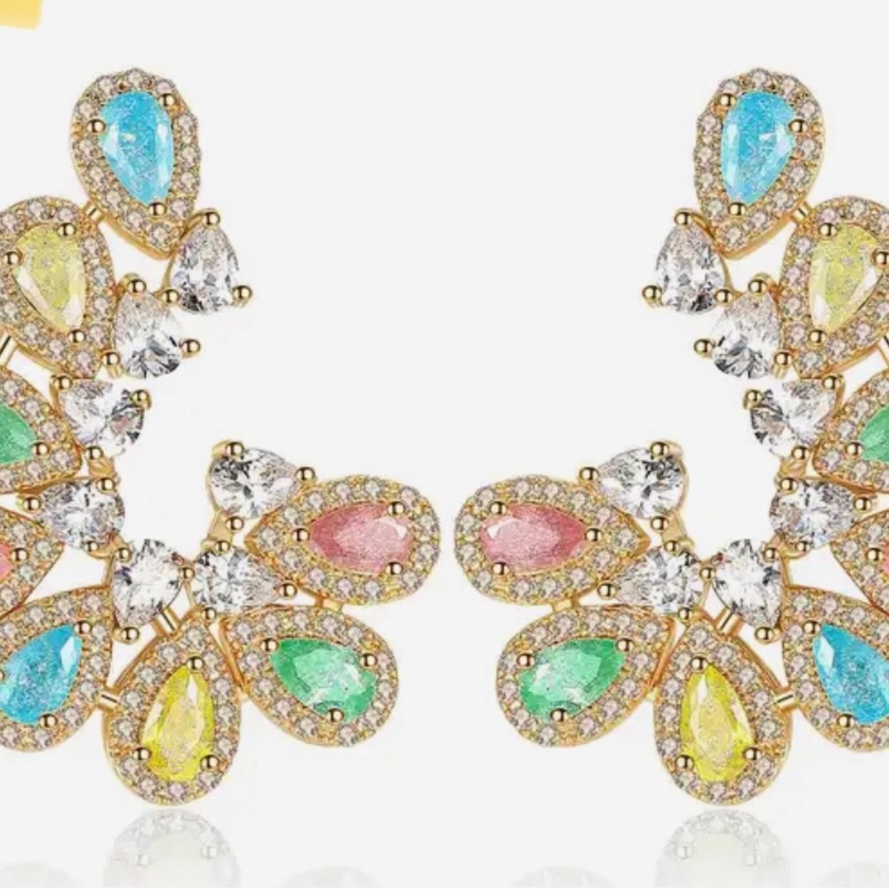Dressy earrings